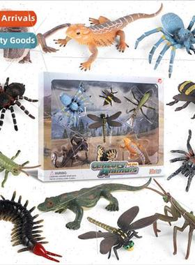 Animal model insect mantis dragonfly bee centipede lizard bu