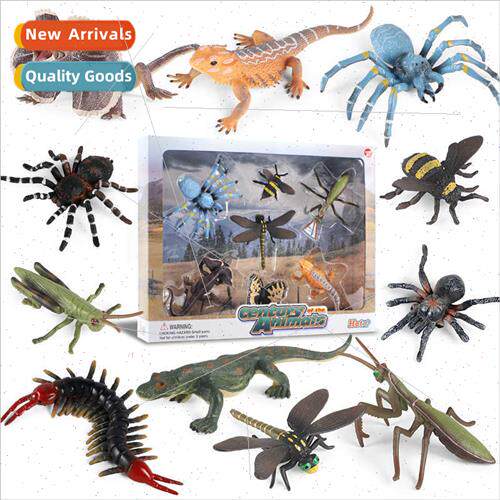 Animal model insect mantis dragonfly bee centipede lizard bu