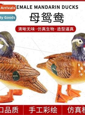 Enlightenment simulation swimming birds model mandarin ducks