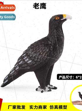 Children science teaching Montessori teaching aids simulatio