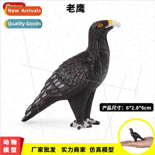 Children science teaching Montessori teaching aids simulatio