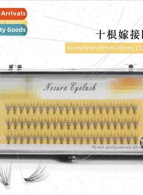 10 Scarecrow False Eyelash Cultivation Extensions Beauty Sal