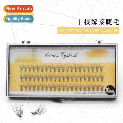 10 Scarecrow False Eyelash Cultivation Extensions Beauty Sal