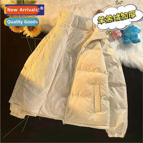 lambswool cotton jacket men stcollar padded thickened fall w