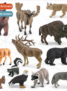 wildlife model raccoon antelope black bear squirrel lynx mal