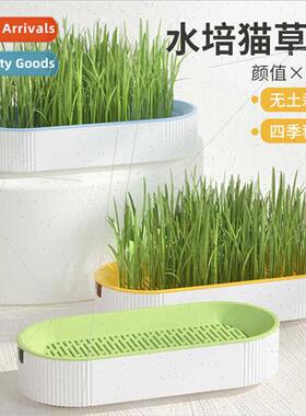 Cat snacks catnip planting hydroponic box cat grass pots hyd