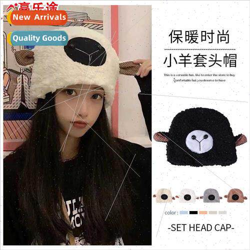 Sheep hat fall out set paragraph Hundred  sheep had a sheep