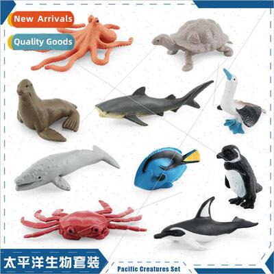 model penguin blue-footed boobies tiger shark dolphin blue t