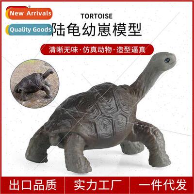 Animal model tortoise hatchling toy Galapagos elephant torto