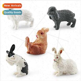 model Wild rabb sting whe pygmy animal wash