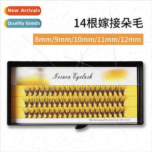 14 Scarecrow extensions planted false eyelashes 0.1 coarsene