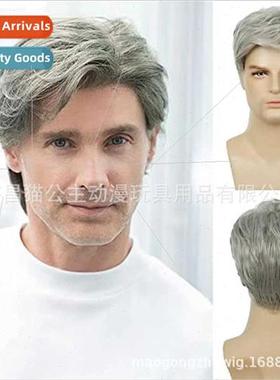 Europe Men Gray Wigs Handsome Parted Chemical Fiber Roses In