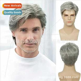 Europe Men Gray Wigs Handsome Parted Chemical Fiber Roses In