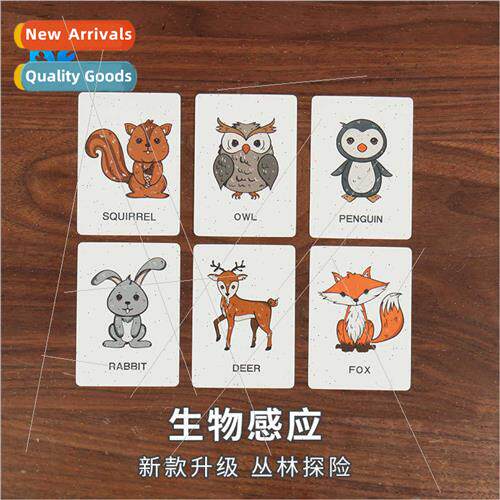 Dangerous prophecy magic children educational toys 适用begin