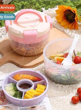 Salad Bento Box nch Box Microwaveable Workers mple nch Box F