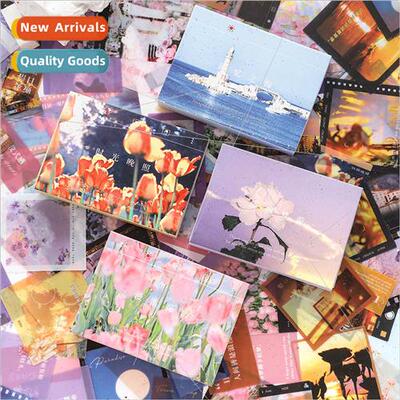 fe record ins box set pet stickers fresh handbook decorative