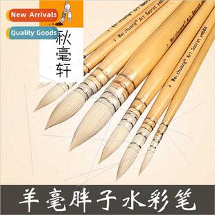 Wool Fatty Watercolor Brush Set Adult Art Painting HDrawing