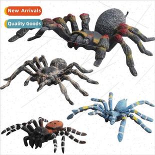 wild model ornament insect spider toy Plastic