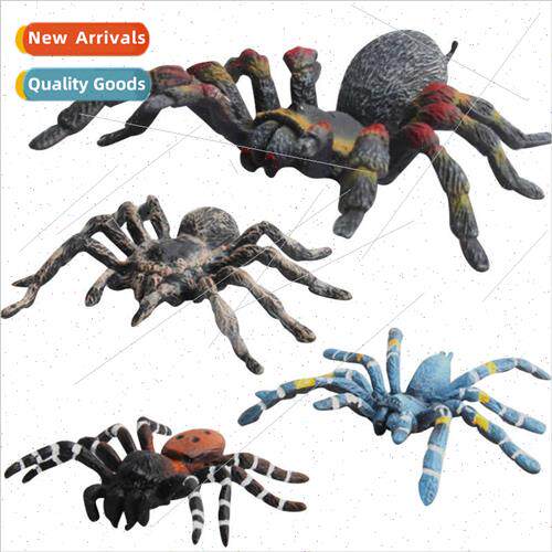Plastic wild ornament toy insect model spider toy