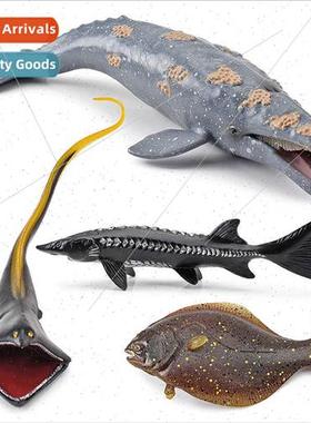 Sea World model gray whale fish wide throat eel Chinese stur