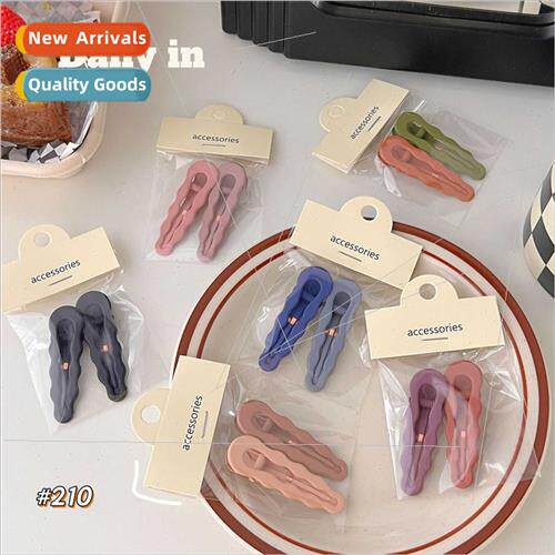 Frosted texture duckbill clip simple wind large hairpin long