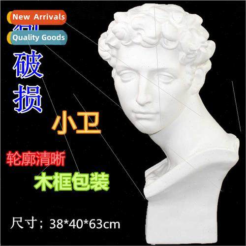 Giuliano de Medici Sketching Teaching Aids Plaster Portra He