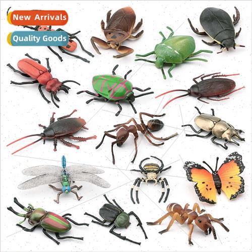 Yang Colorful Arm Golden Turtle Butterfly Shield Bug Cockroa