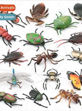 Yang Colorful Arm Golden Turtle Butterfly Shield Bug Cockroa