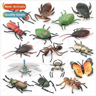 Golden Turtle Butterfly Yang Bug Arm Shield Cockroa Colorful