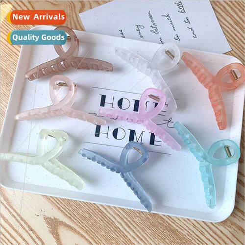 Grab clip frosted new hair clips back head large transparent