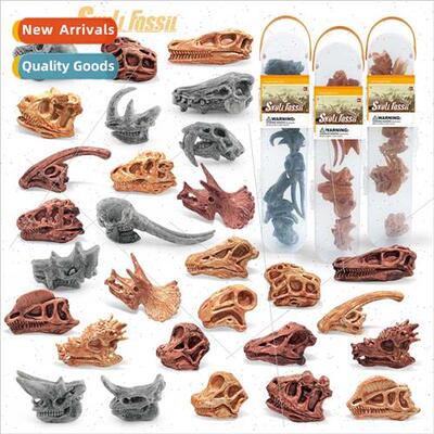 Mini dinosaur skull triceratops multiple prehistoric animal