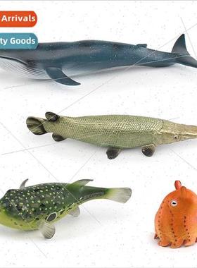 Solid crocodile finch eel river triggerfish blue whale Dumbo