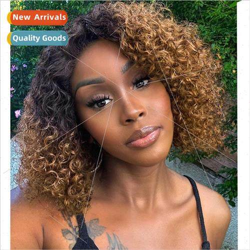 wigs african ladies brown parted short curly hair small curl