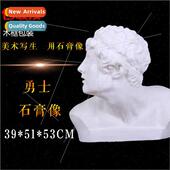 Plaster Bust Portra Teaching Head H53CM Aid Warrior