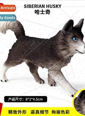 Static solid wild animal model husky pet dog children handma
