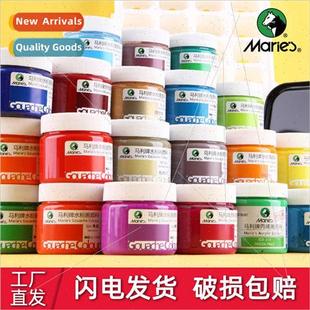 Paint Student Jar Art Horse Watercolor Gouache