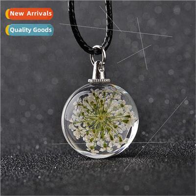 Round Glass Dried Flower Colourful Specimen Acrylic Flower P