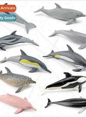 Whe-kissed spotted dolphinLong-snouted dolphinHourglass dolp