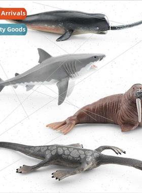 Model phantom dragon walrus sharp nose whale great whe shark