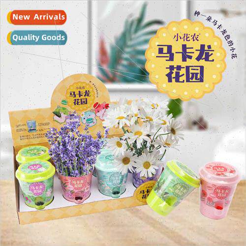 macaroons DIY small pots 适用children creative planting flow