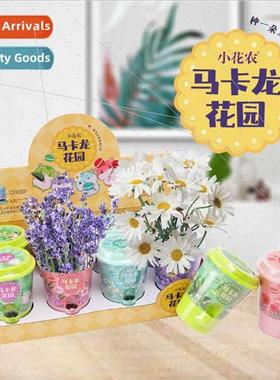 macaroons DIY small pots 适用children creative planting flow