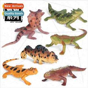 Wild set mini lizard umbrella lizard chameleon horned lizard