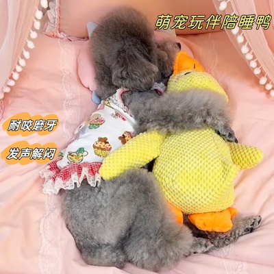 狗狗玩具解闷神器宠物小狗毛绒