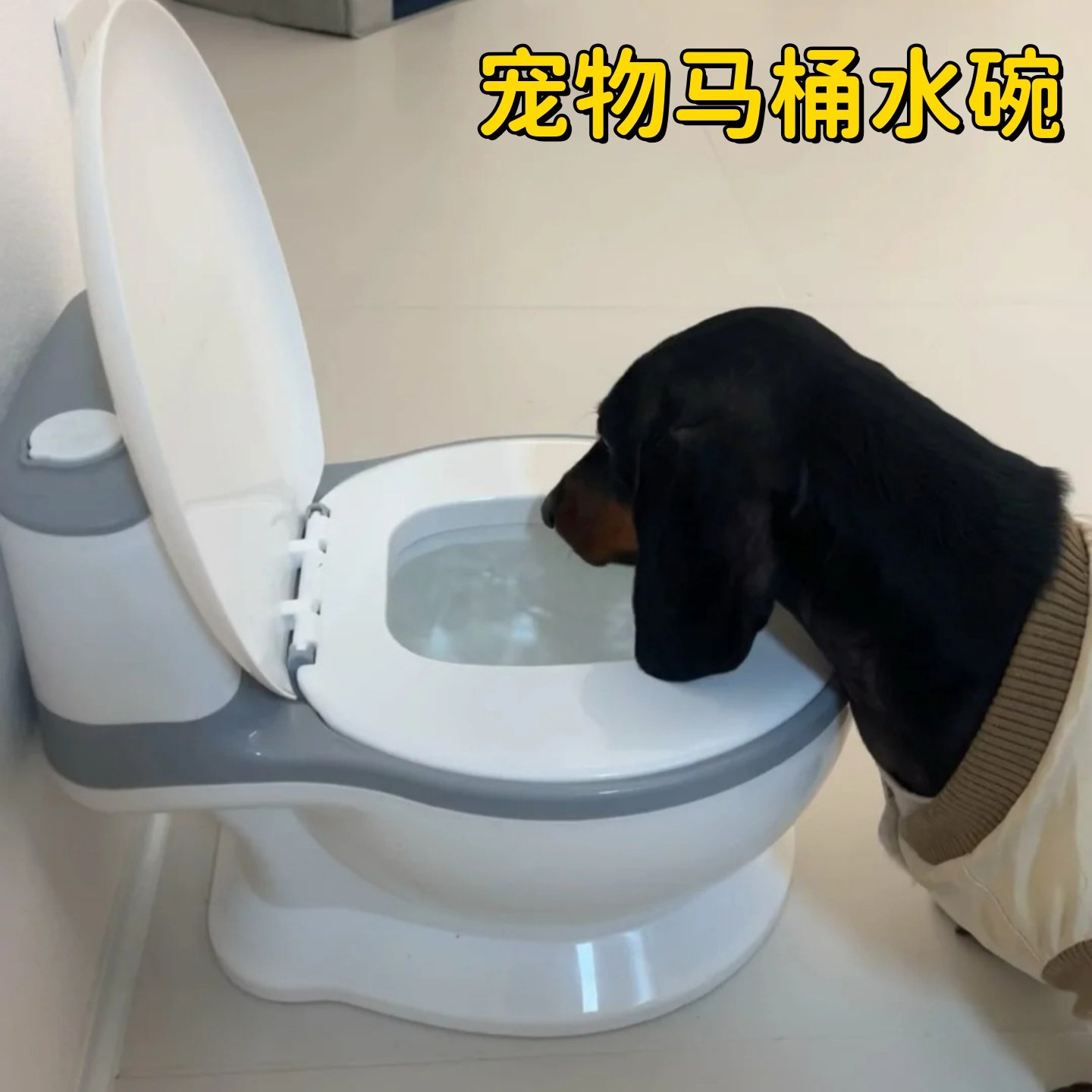 骗猫咪狗狗喝水神器宠物马桶水碗饮水器大容量仿真坐便器不易打翻