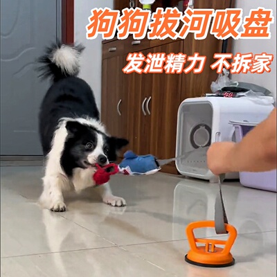 狗狗拔河玩具吸盘磨牙绳结球自嗨