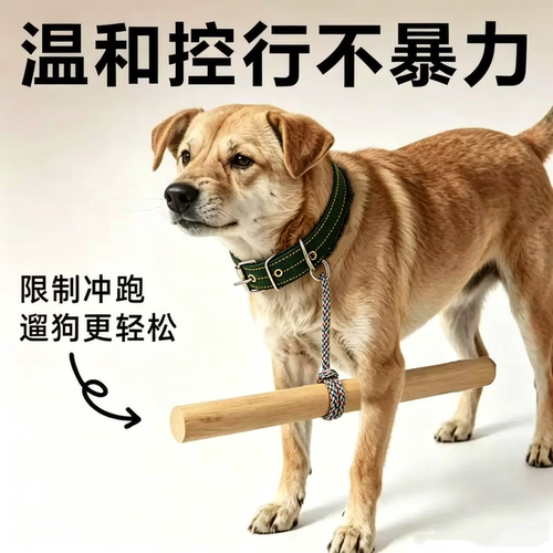狗狗限速器防咬人追车神器