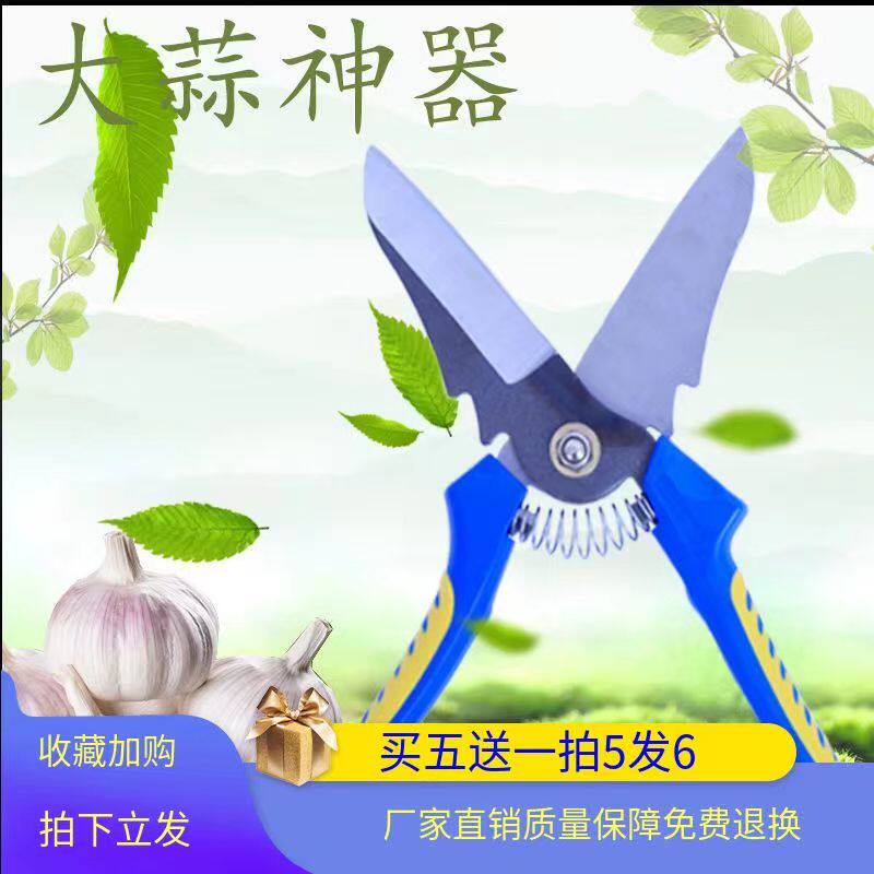 大蒜专用剪刀剪蒜神器蒜胡蒜杆剪洋葱剪蒜机铡蒜大蒜剪杆机剪工具