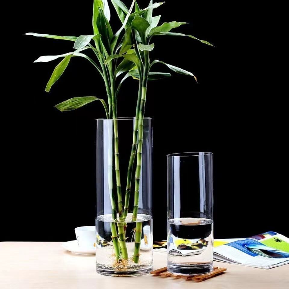 大号绿植水培器皿水养兰花植物容器透明花瓶塑料花盆仿玻璃亚克力