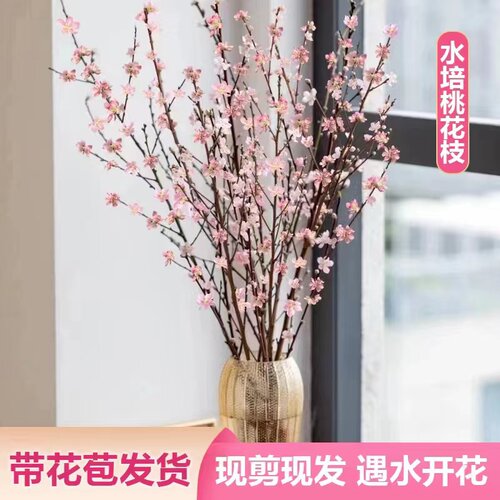 珍珠李樱花雪柳鲜枝切龙室内
