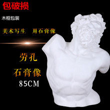 舞美直供劳孔胸像石膏头像石膏教具石膏像拉奥孔石膏头像雕塑摆件